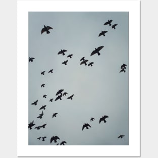 flying migratory birds Posters and Art